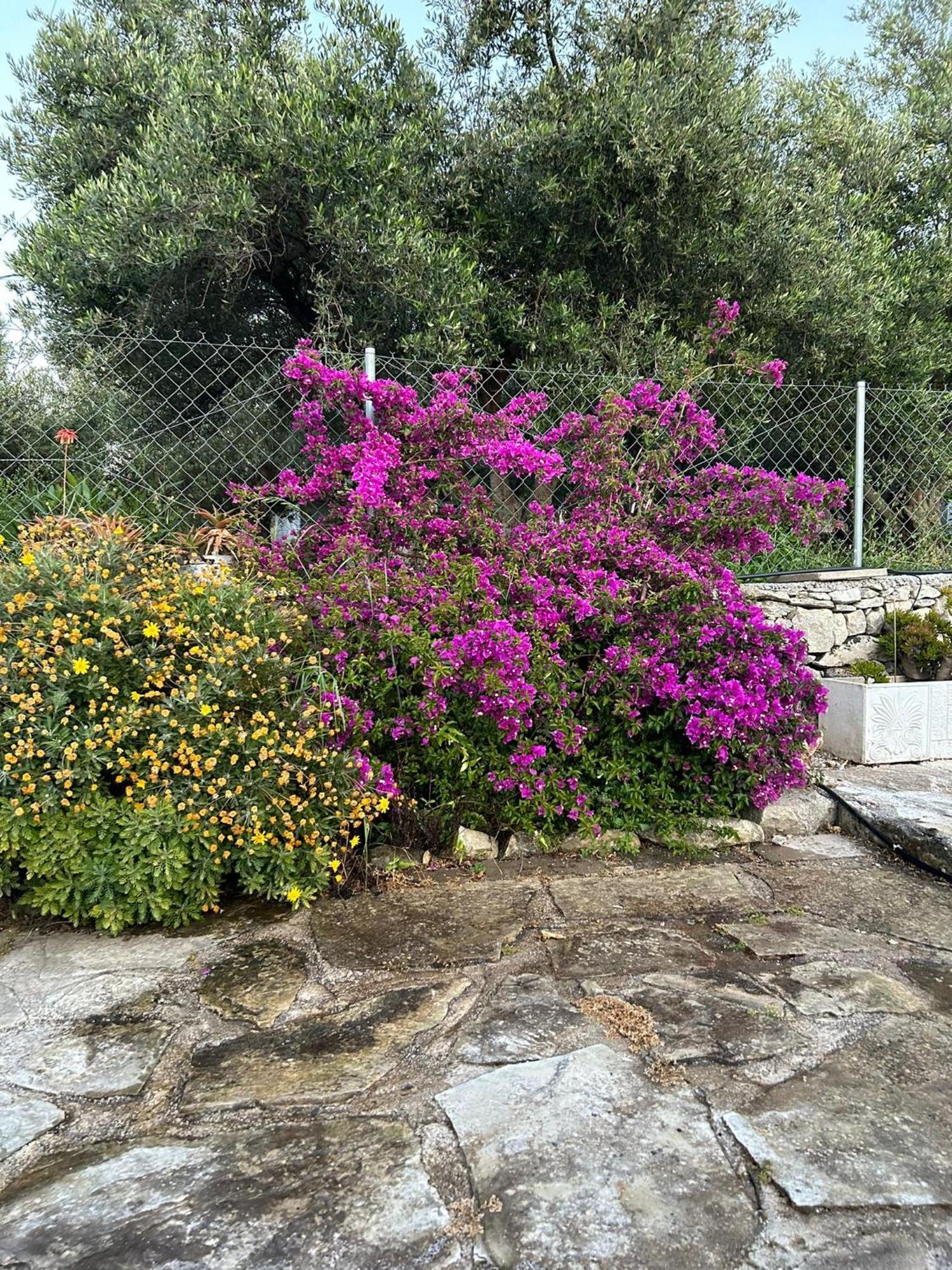 Old Stone Villa In Apokoronas Villa Nostalgia Kreta Fílippos Extérieur photo